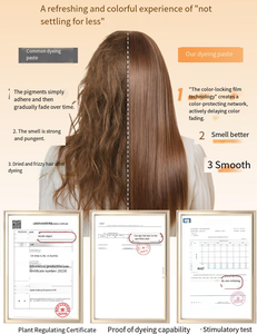 Tinte Capilar Natural para Salón de Belleza al por Mayor |   Crema de Tinte Permanente <span class=keywords><strong>Chensheng</strong></span> de 100 ml, Servicio de Etiqueta Privada OEM - Product Image 5