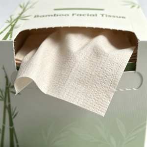Pañuelos Faciales Suaves OEM Biodegradables para Limpieza de la Piel, Caja de Papel Desechable para el Cuidado de la Piel Sensible, Uso Doméstico, 1 Capa - Product Image 2