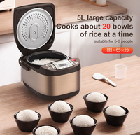 Cuiseur à riz intelligent 10 tasses ménage Certification CE corps garder au chaud revêtement antiadhésif pot intérieur forme d'ellipse cuiseur à riz