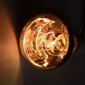 Đèn Hơi Thủy Ngân Cho Bò Sát 80W 100W 125W 160W Đèn Mặt Trời UVA UVB Cường Độ Cao Tự Dằn UV Đèn Hơi Thủy Ngân - Product Image 5