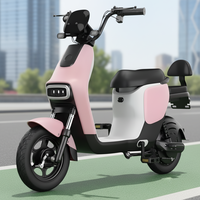 Moto électrique légère pour adultes, quad électrique à deux places, scooter électrique pour adultes à vendre