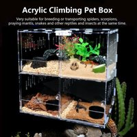 Cage de terrarium pour reptiles, boîte de cage pour reptiles, boîte d'escalade pour animaux de compagnie en acrylique, boîte transparente pour tarantules, insectes, scorpions, vitrine