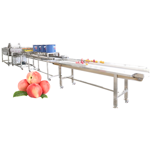 Chanh Cam đào xoài dây chuyền chế biến trái cây phân loại giặt sấy Máy tẩy lông chức năng Peeler cho nhà máy sản xuất - Product Image 1