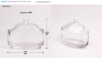 Bouteilles de parfum personnalisées en verre silex transparent de 100 ml, forme libre, avec pompe pulvérisatrice, diffuseur à bâtonnets, écologiques, recyclables, couleur et logo personnalisables
