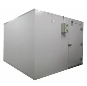 Slaughterhouse cold room cold storage quick blast freezer with air cooled compressor condensing unit