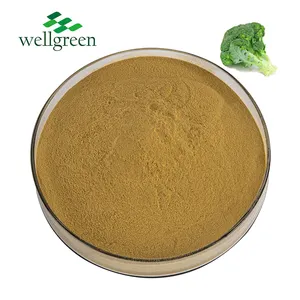 Wellgreen Main Product Sulforaphane Glucoraphanin Supplements Use Broccoli Seed Broccoli Extract Powder