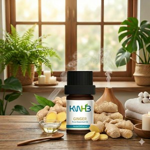 Aceite Esencial Puro de Jengibre KWHB 5ml Extractor Herbal para Uso Doméstico Producto de Tailandia - Product Image 3