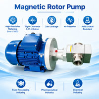 Pompe rotative à lobes sanitaire haute pression en acier inoxydable 0,5 CV avec entraînement magnétique et rotor pour l'industrie pharmaceutique