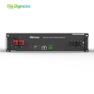 Dyness b25100 2.5kwh LiFePO4 pin 24V 100AH 200AH chu kỳ sâu pin <span class=keywords><strong>Lithium</strong></span> <span class=keywords><strong>ion</strong></span> cho hệ thống lưu trữ năng lượng nhà - Product Image 5