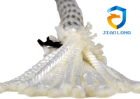 Corde statique haute résistance JIAOLONG modèle A-DSJ, équipement de protection individuelle, corde d'escalade en nylon et polyester pour le sauvetage
