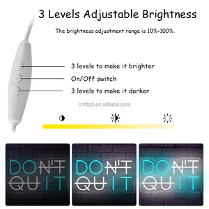 Tonight Don't Quit Letrero de neón para decoración de pared Luces Led para dormitorio Oficina Gimnasio Fiesta Gamer Room Decoraciones - Product Image 5