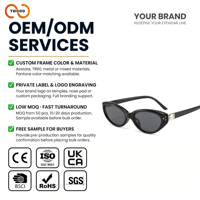Lunettes de soleil œil de chat TWOOO T1921 personnalisées avec logo OEM ODM pour femmes, protection UV400, mode, conduite, extérieur, vente en gros directe d'usine, promotion exceptionnelle