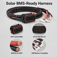Harnais de câblage solaire OEM Solvet HX 20022 24 broches AWG18 UL1569 étanche IP68 pour contrôleur BMS de batterie au lithium et onduleur