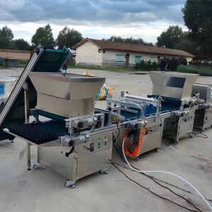 Hạt giống Cà chua vườn ươm KHAY GIEO Máy Hành tây hạt giống cắm KHAY GIEO HẠT máy hạt tiêu phát triển khay <span class=keywords><strong>seeder</strong></span> trồng - Product Image 2