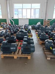 पेशेवर टिकाऊ 45 किलोवाट कम आरपीएम पनबिजली संयंत्र के लिए 300 आरपीएम स्थायी चुंबक - Product Image 5