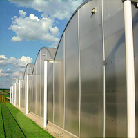 Serre agricole économique à toit en arche multi-travée pour poivrons verts, grande taille, structure en acier galvanisé, feuille de polycarbonate, température