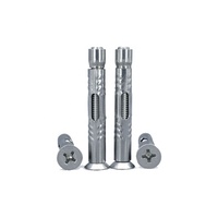 TGR Acier inoxydable 304 316 Vis d'ancrage à tête fraisée Phillips M6 à M16, boulon d'expansion à tête plate métrique pour mur - OEM