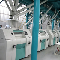 Ligne de production de farine de blé 50TPD, projet clé en main pour usine de meunerie automatique