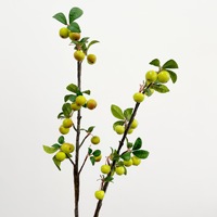 Hoogwaardig kunstmatig crabapple-fruit, vers fruit in Chinese stijl, decoratie voor thuis en hotel, fotografie-accessoire