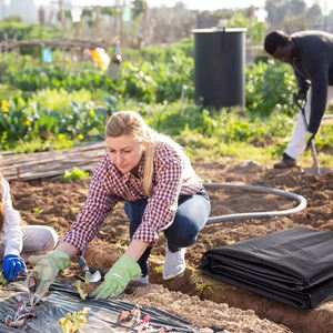Toptan tarım şeffaf/beyaz/siyah/gümüş malç plastik rulo UV koruma malç filmi - Product Image 5