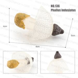 Изготовленная на заказ пластиковая игрушка фабрика ботаника обучающий ресурс реалистичные различные типы грибов модель для детей развивающая игрушка - Product Image 6