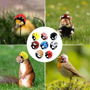 Casco para gallinas <span class=keywords><strong>de</strong></span> granja, protección solar y contra la lluvia, sombrero lindo para gallinas, equipo <span class=keywords><strong>de</strong></span> protección para gallineros al aire libre, divertido para gallos <span class=keywords><strong>de</strong></span> pelea - Product Image 3