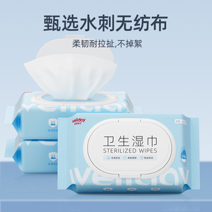 Toallitas Esterilizadas Wellday, Paquete de 50 Unidades, Limpieza Higiénica para Uso Doméstico - Product Image 1
