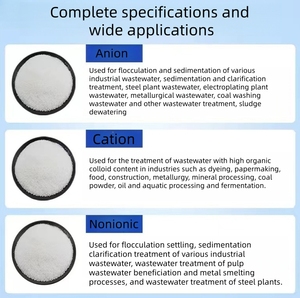Produttore Cinese di Prodotti Chimici Polimero in Polvere Bianca Flocculante Anionico Cationico Poliacrilammide per Disidratazione del Fango - Product Image 3