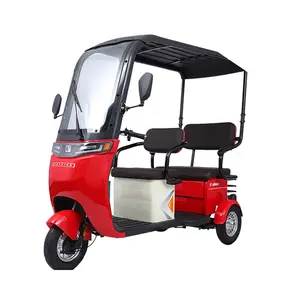 Paige Electric tricycle 60v800wモーターキット大人用電動トライクガスオートバイ3輪シートスクーターコンクリートトラック付き子供用