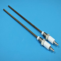 Électrode d'allumage en céramique filetée 1/4 NPT pour four industriel, allumeur à induction de flamme, bobine de chauffage électrique