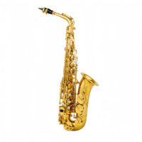 Customized Brass Body Eb Alto Saxophone Gold Lacquer Finish Professional Elbow Wind Instrument for Beginner with Accessories