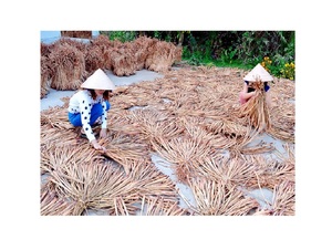Hyacinthe d'eau sèche la plus vendue, brute, sans produits chimiques, pour la fabrication d'artisanat, prix bas - Product Image 2