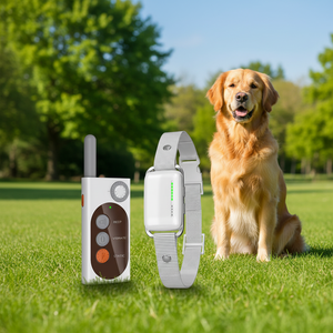 Collar de entrenamiento para perros PATPET <span class=keywords><strong>2026</strong></span>, último modelo, con luz LED nocturna y función de grabación, walkie-talkie electrónico. - Product Image 1