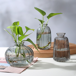 <span class=keywords><strong>Mini</strong></span> vase en verre transparent de couleur nordique, petit récipient à fleurs créatif et simple pour arrangement floral de table - Product Image 1