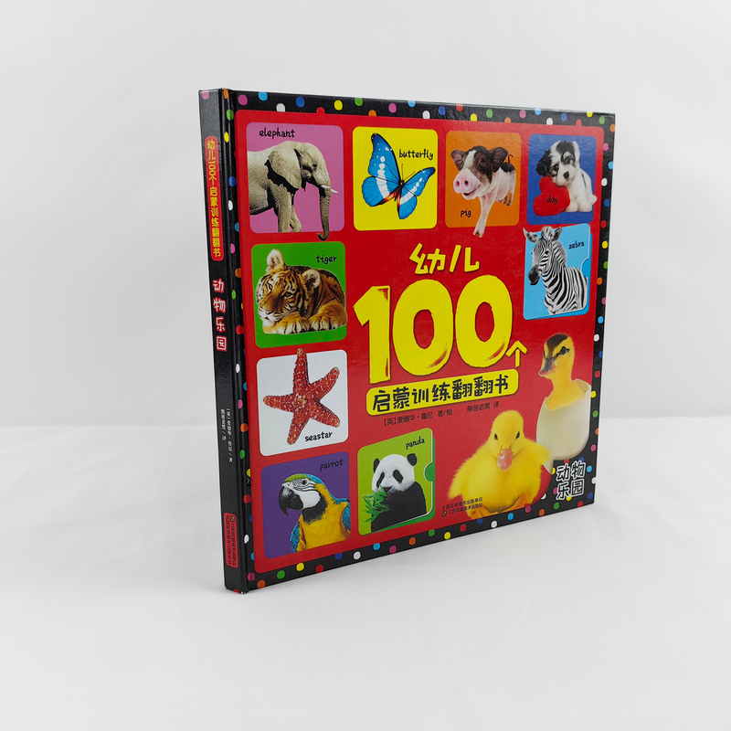 Factory Outlet Custom Early Education Cognitive