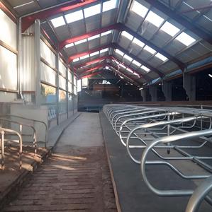 Granero de vaquillas prediseñado-Puesto libre de 4 filas, ancho de callejón de 3,5 m, galvanizado en caliente - Product Image 1