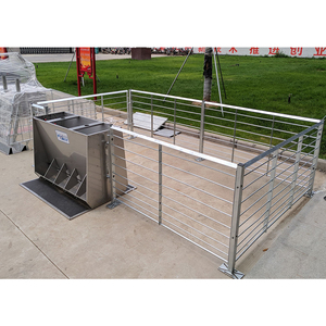 Cage d'engraissement pour porcs, nouvelle, durable, personnalisée en usine, acier galvanisé à chaud, garantie 1 an, HENGYIN HY-fatten, ensemble complet - Product Image 2