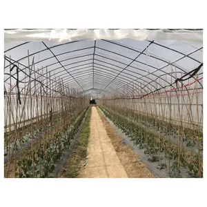 Large Agricultural Tunnel Mushroom Greenhouse For Sale