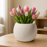 Pot de fleurs en céramique bombé mat non émaillé, style Wabi Sabi, blanc crème, pour plantes de bureau, décoration intérieure, vente en gros