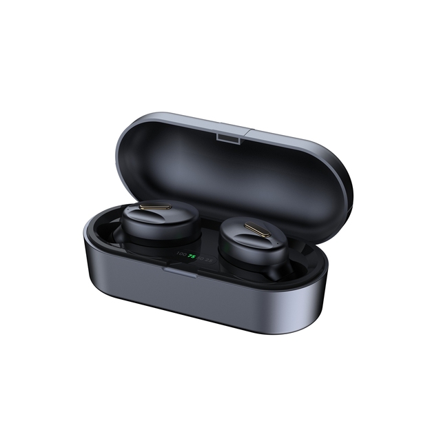 True Wireless Bluetooth Earbuds with Charging Case - Wireless Headphones for Music/Call with Battery Display