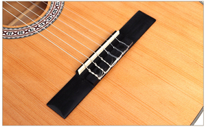 Venta al por mayor de cuerdas de nailon de alta calidad, <span class=keywords><strong>EC</strong></span>-310-36 de <span class=keywords><strong>guitarra</strong></span> clásica de 36 pulgadas - Product Image 6