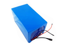 LIFEPO4 12V 4 S5p 25Ah 30Ah Digunakan Dalam Paket Baterai untuk Sepeda Listrik dan Skuter