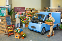 Mini voiture électrique intelligente à 4 roues pour adultes Nouveau petit véhicule électrique Véhicules à énergies nouvelles Voiture électrique pour le fret