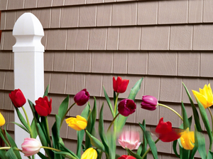 Revêtement extérieur en PVC économique et imperméable, réduit les coûts de maintenance et de <span class=keywords><strong>peinture</strong></span> à long terme pour les applications commerciales et résidentielles - Product Image 6