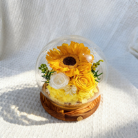 Nouvelles fleurs séchées faites à la main, dôme en verre à LED longue durée, respectueux de l'environnement, pour la Saint-Valentin, Noël