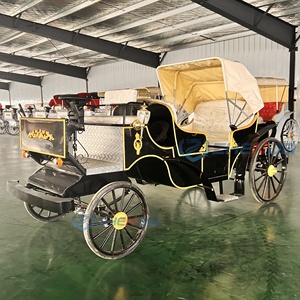 Voiture électrique de tourisme élégante, calèche royale électrique, calèche de tourisme - Product Image 4