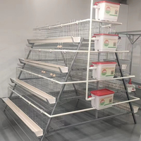 Cage à poules pondeuses automatique en acier galvanisé à chaud de type A