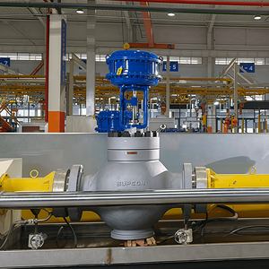 ตัวควบคุมแรงดันลมรุ่นใหม่เอี่ยม 67C ซีรีส์ 67CFR 67DFR พร้อมตัวกรอง DVC2000 ตัวควบคุมดิจิตอล ราคาตามสั่ง ผู้จัดจำหน่าย DVC2000 จากจีน ระบบนิวเมติกส์ V - Product Image 4