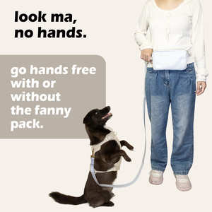 Guinzaglio per cani a mani libere personalizzato con custodia a tracolla e guinzaglio per allenamento in vita accessori per camminare e camminare - Product Image 5