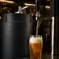 Draft Beer Keg 20l, Beer Keg Mini, Beer Keg Plastik, Beer Keg 30l, Supplier Beer Keg, Pengawetan Lebih Baik, Dapat Digunakan Kembali, Kokoh